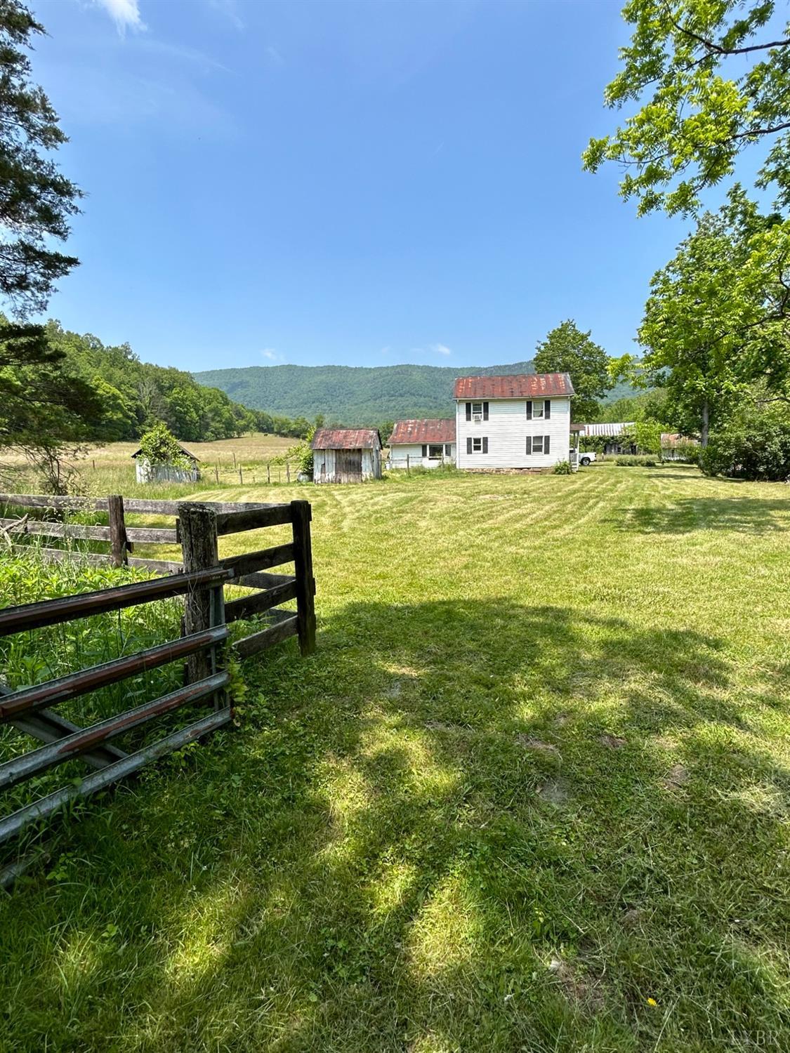 a view of a large garden with lawn chairs and large trees