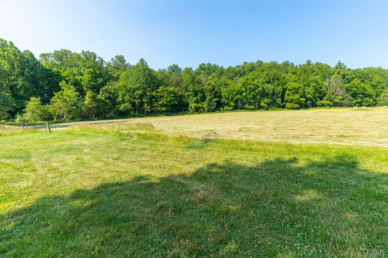 1095 Blacks Creek Road Lexington, VA 24450 - Photo 16 of 35 a view of a large yard with a large tree and a yard