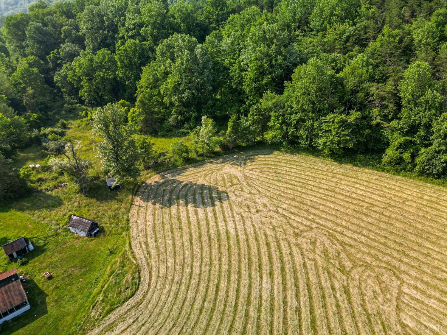 1095 Blacks Creek Road Lexington, VA 24450 - Photo 20 of 35 a view of a backyard of the house