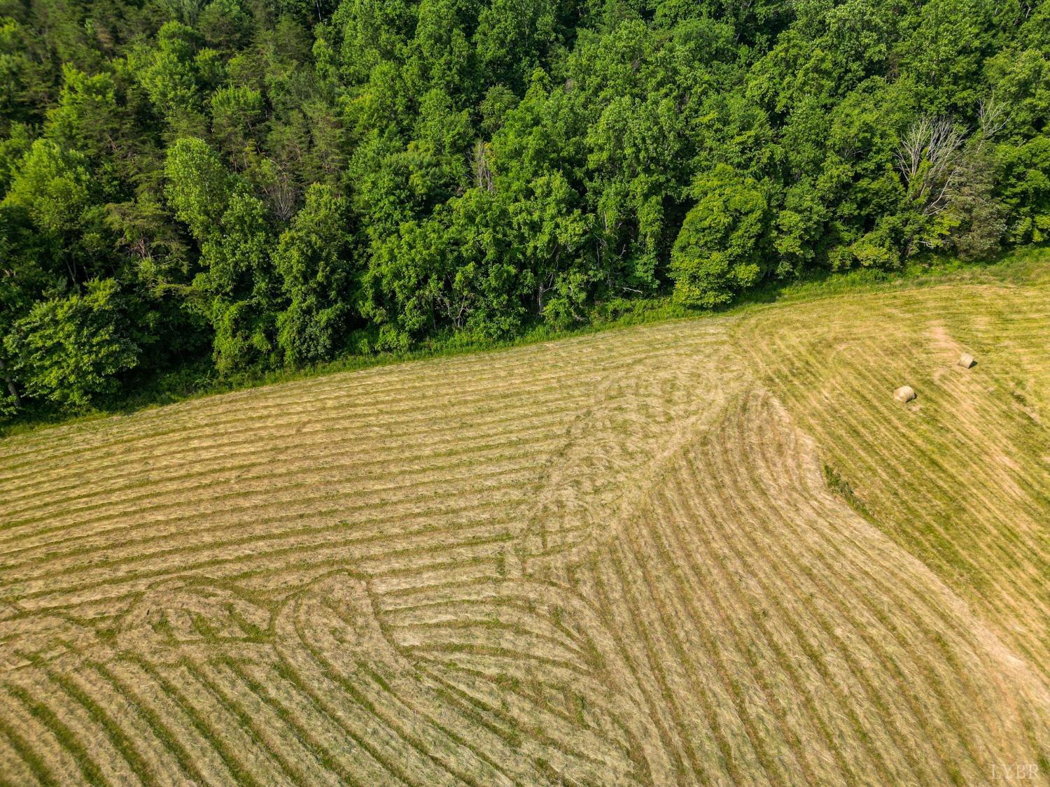 1095 Blacks Creek Road Lexington, VA 24450 - Photo 21 of 35 a view of empty room with wooden floor