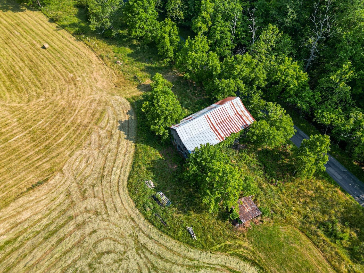 1095 Blacks Creek Road Lexington, VA 24450 - Photo 22 of 35 a view of a yard with plants