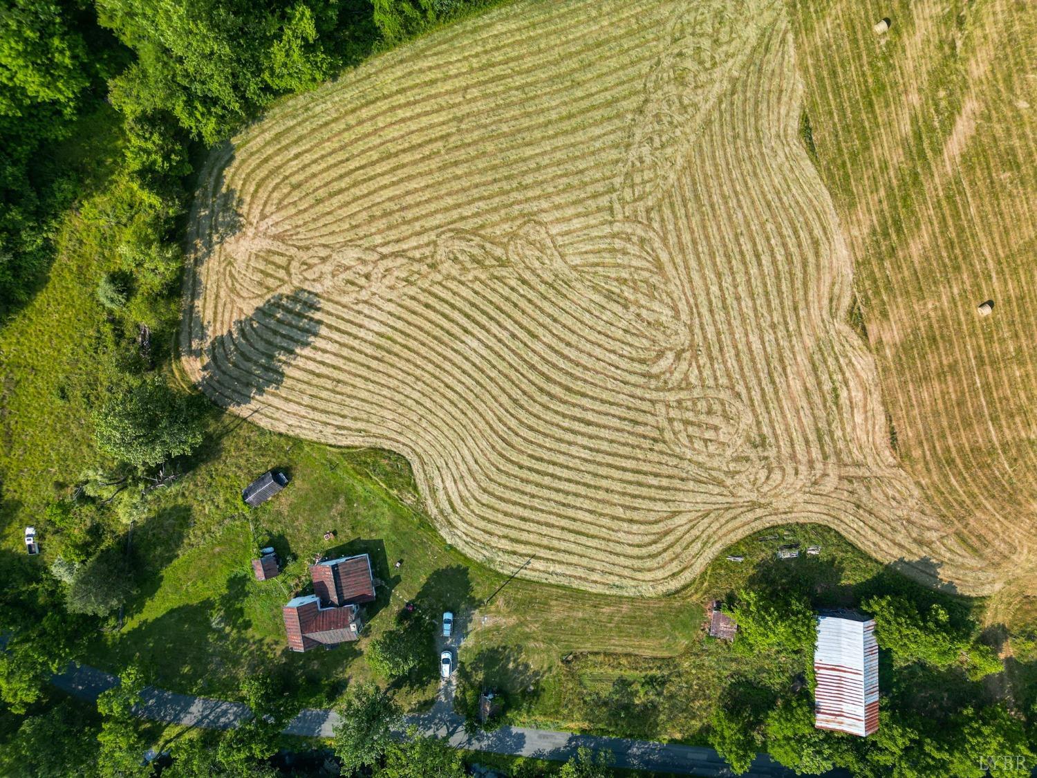 1095 Blacks Creek Road Lexington, VA 24450 - Photo 24 of 35 a view of a bunch of plants and flowers