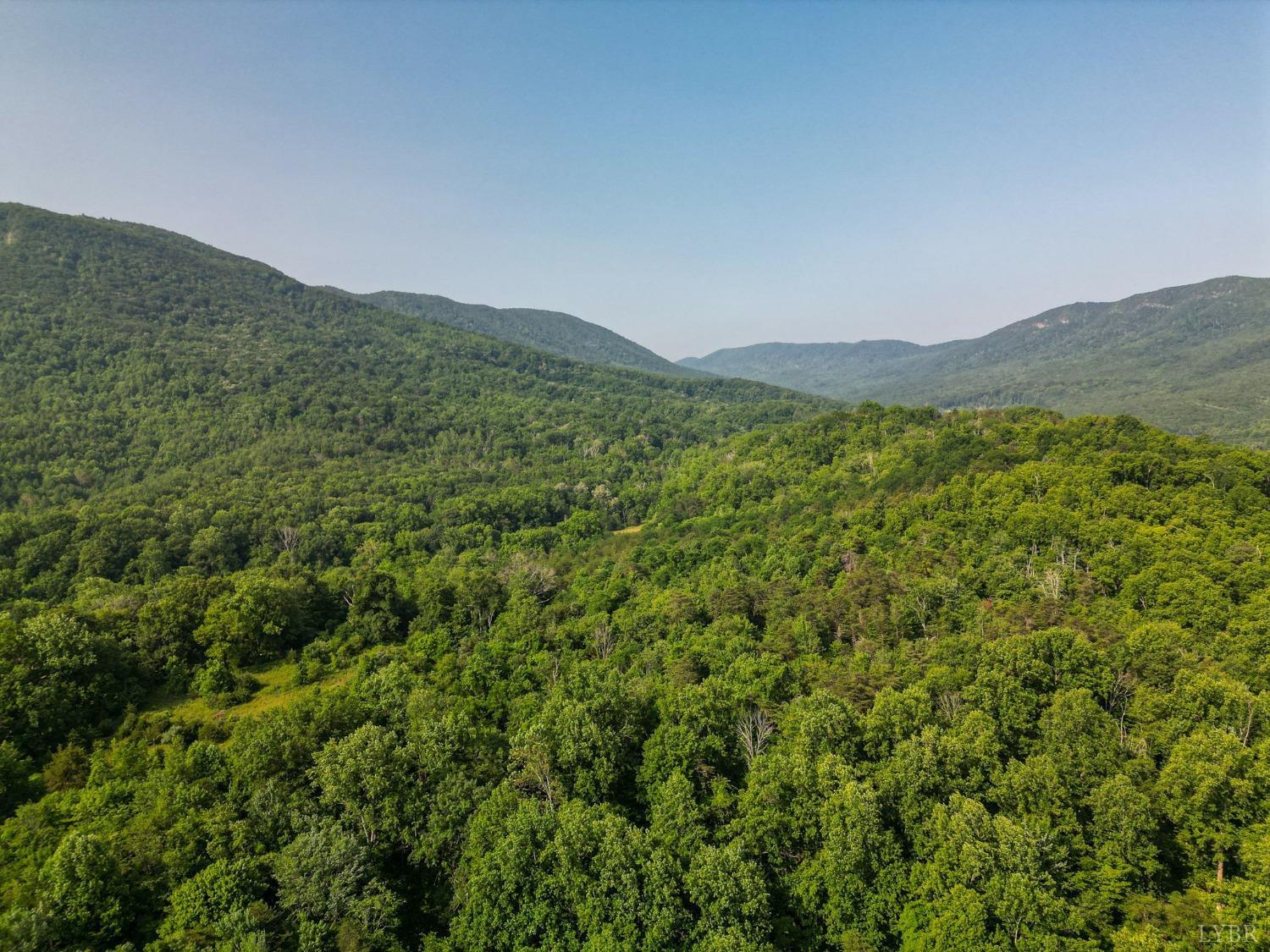 1095 Blacks Creek Road Lexington, VA 24450 - Photo 26 of 35 a view of a mountain range with lush green forest