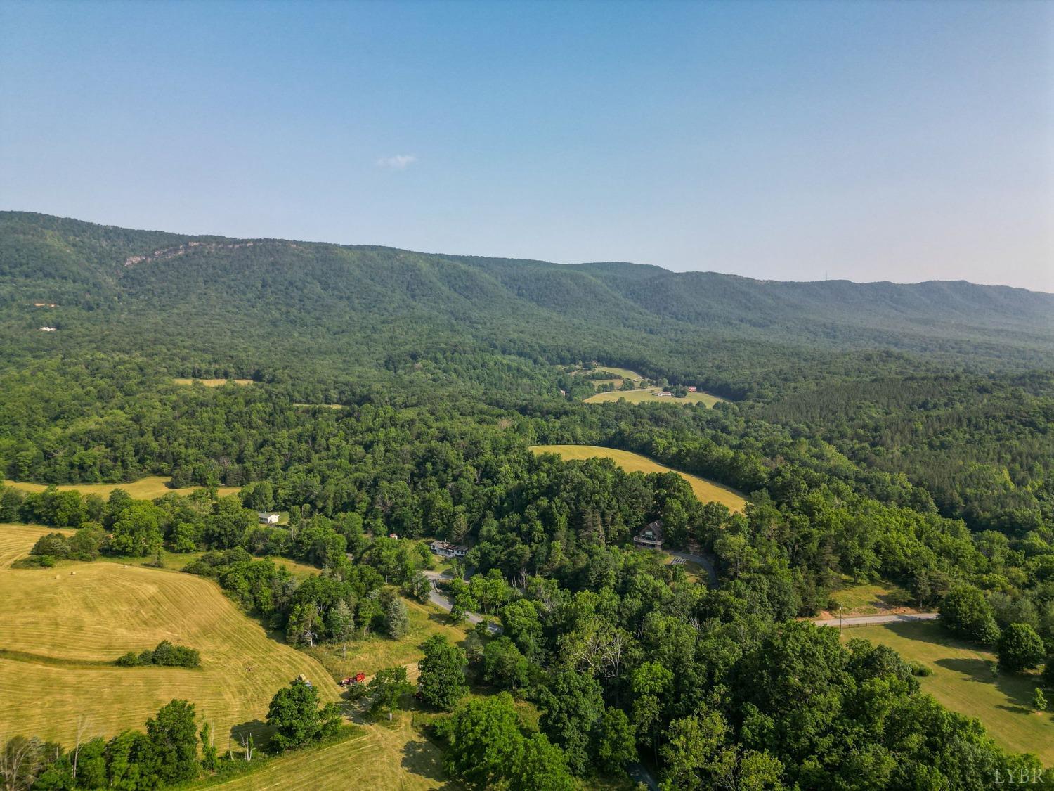 1095 Blacks Creek Road Lexington, VA 24450 - Photo 27 of 35 a view of a lush green field with lots of bushes