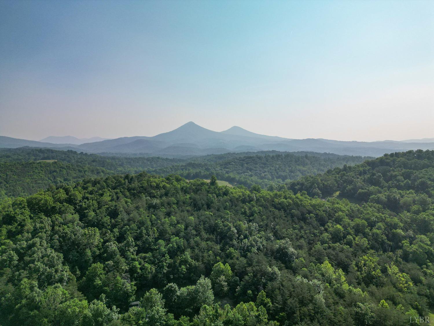 1095 Blacks Creek Road Lexington, VA 24450 - Photo 28 of 35 a view of a mountain range with trees in the background