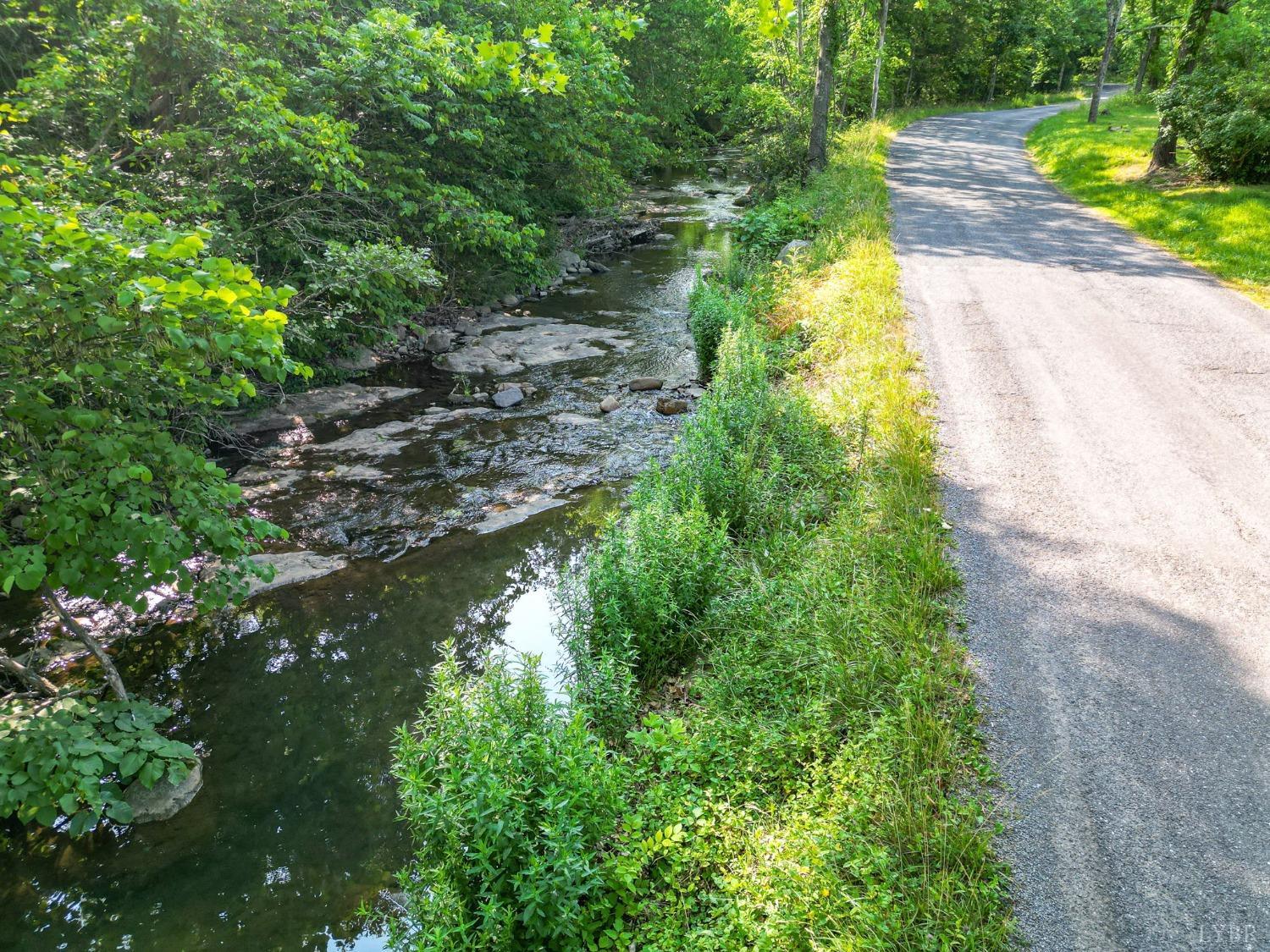 1095 Blacks Creek Road Lexington, VA 24450 - Photo 7 of 35 a view of a yard with plants and large trees