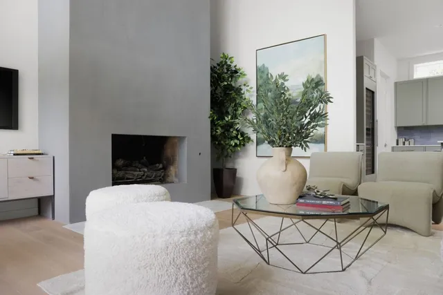 a living room with furniture and a potted plant