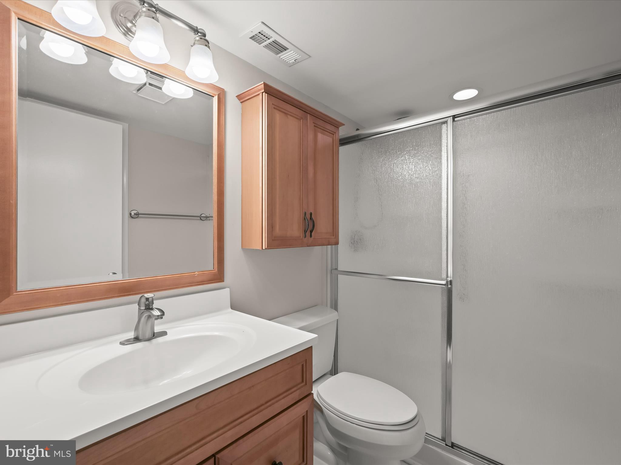2 Queen Victoria Way Chester, MD 21619 - Photo 24 of 53 a bathroom with a sink a toilet a mirror and shower