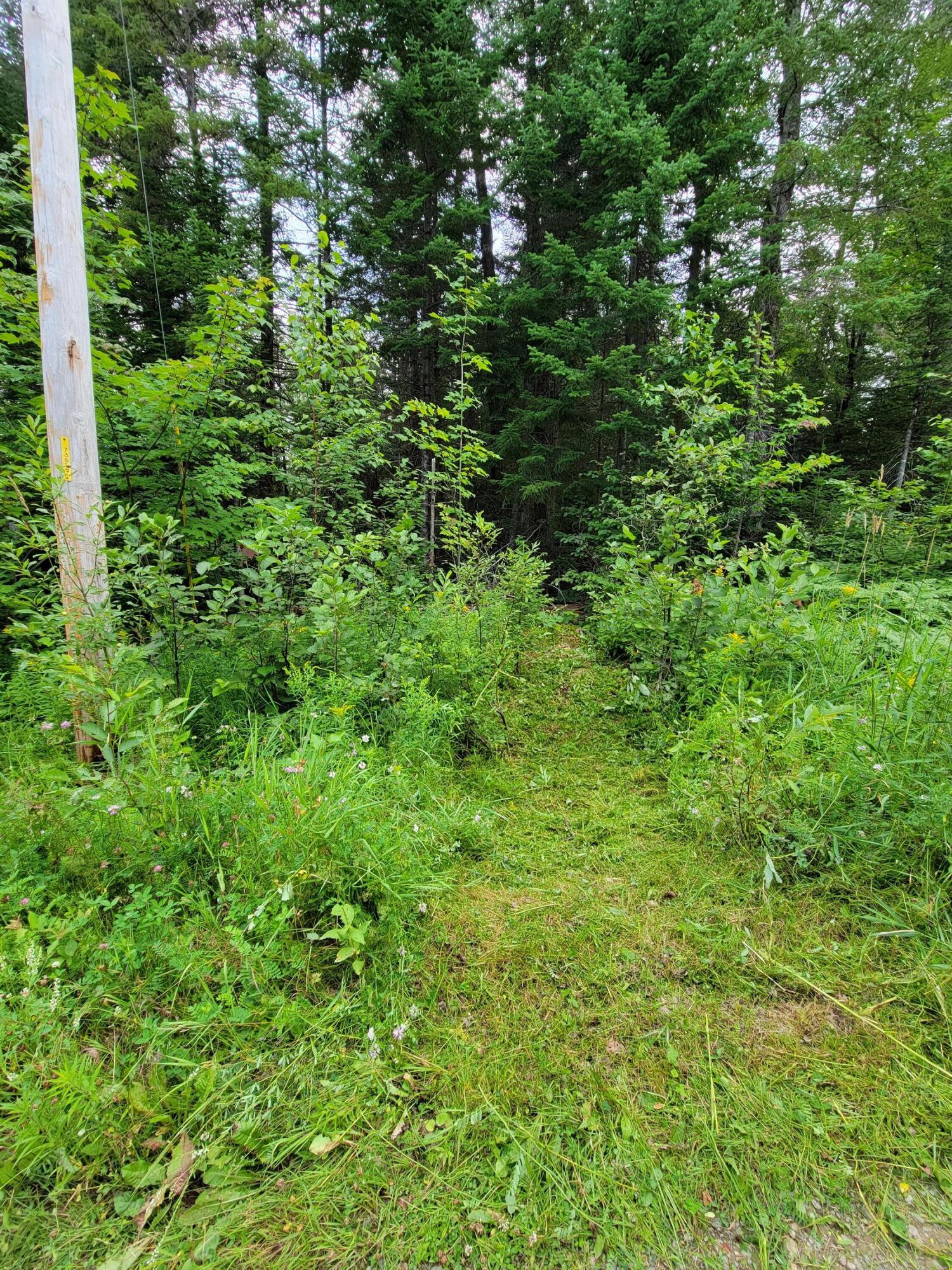 18-002 Carvell Road Mapleton, ME 04757 - Photo 14 of 20 20210807_151031