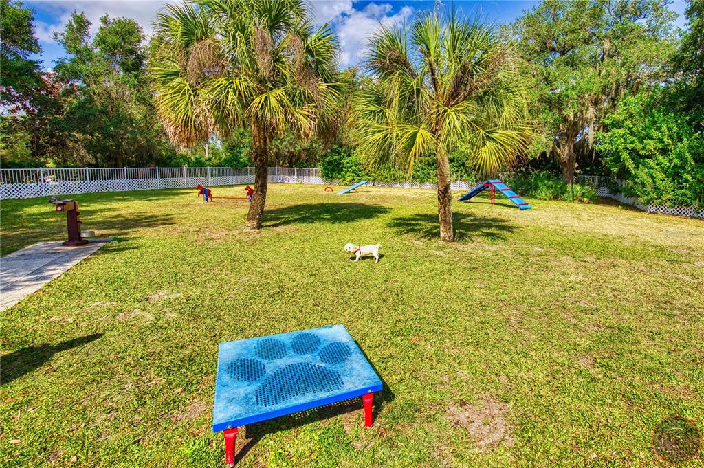 Undisclosed Address Venice, FL 34293 - Photo 41 of 45 a view of a yard with swimming pool