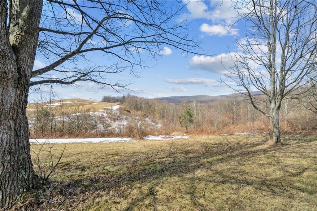 0 McCurdy Trail Ligonier, PA 15658 - Photo 4 of 10 a view of a yard with wooden fence