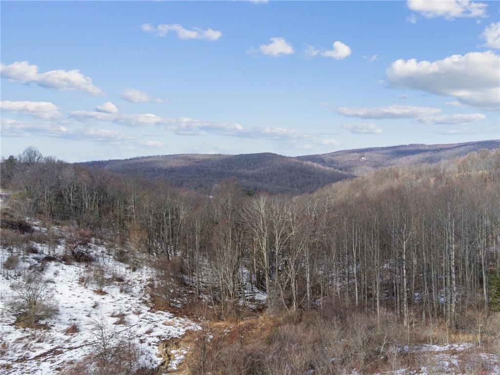 0 McCurdy Trail Ligonier, PA 15658 - Photo 10 of 10 a view of a bunch of trees and mountains