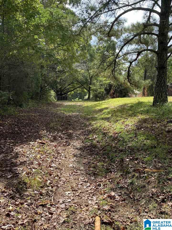 235 Water Tank Road Hayden, AL 35079 - Photo 6 of 11 Gallery Image 6