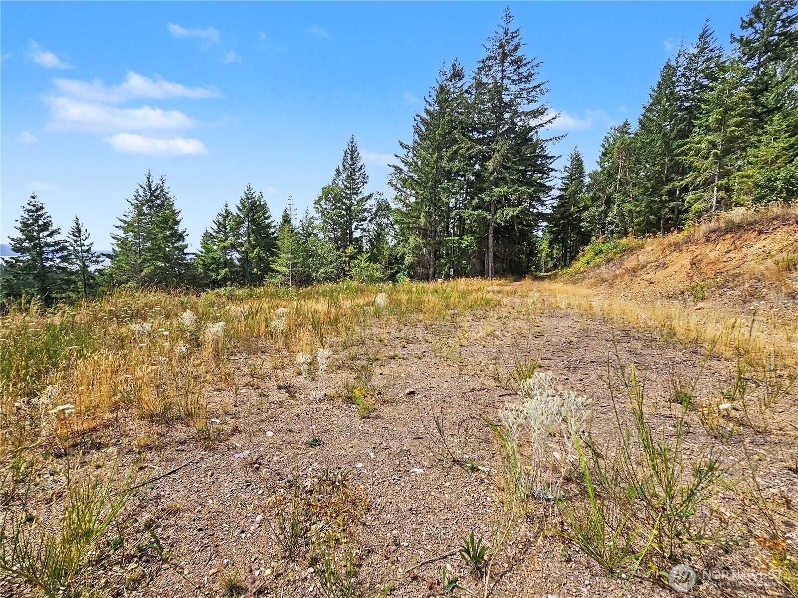 646 Madrona Ridge Drive Brinnon, WA 98320 - Photo 19 of 34 Gallery Image 19
