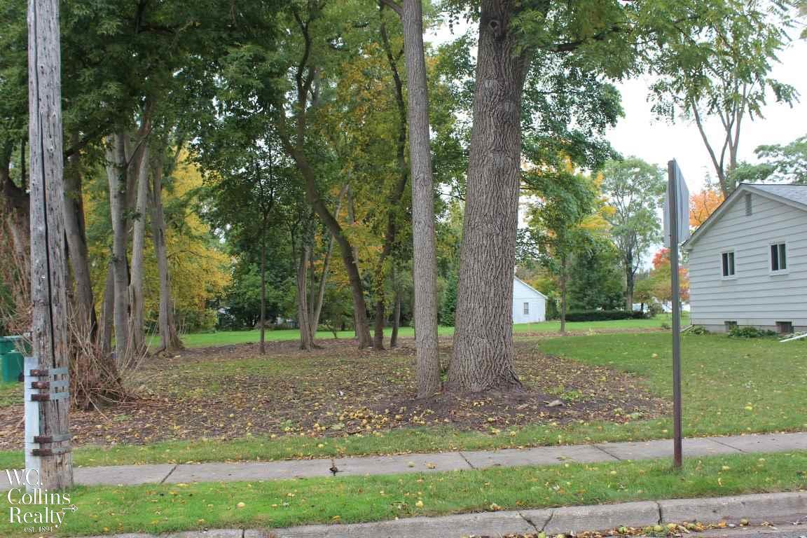 0 Dickenson Street Romeo, MI 48065 - Photo 2 of 6