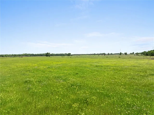 a view of a grassy field