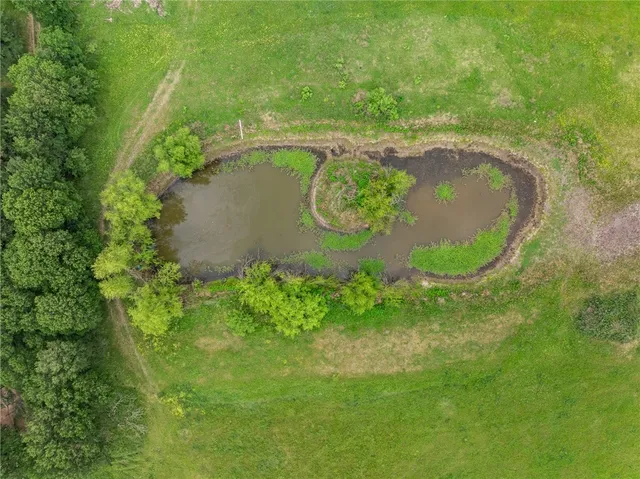 an aerial view of a residential houses with outdoor space and trees all around