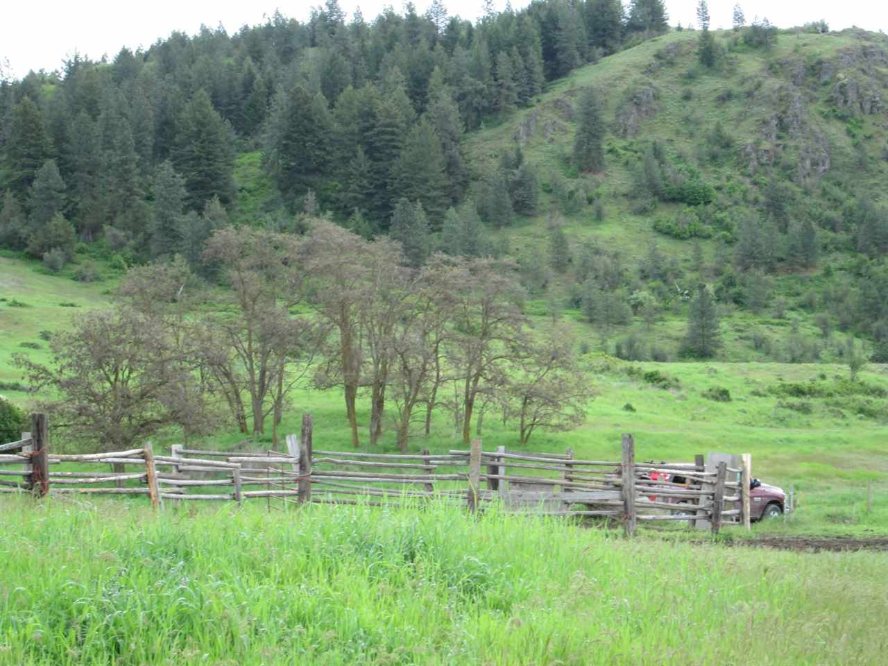0 Miles Road Rice, WA 99167 - Photo 7 of 13