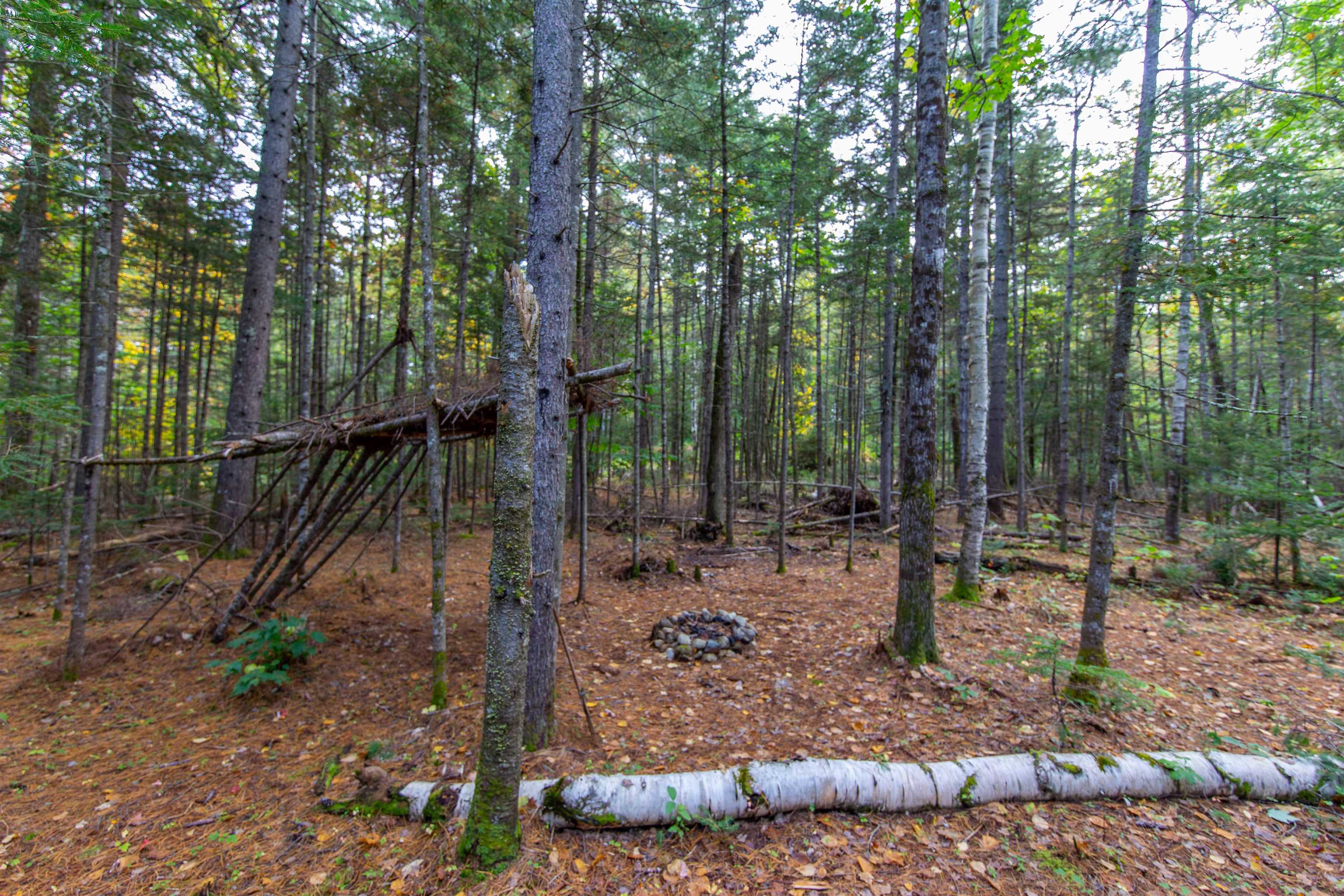 155 Locke Falls Road Tamworth, NH 03897 - Photo 2 of 14