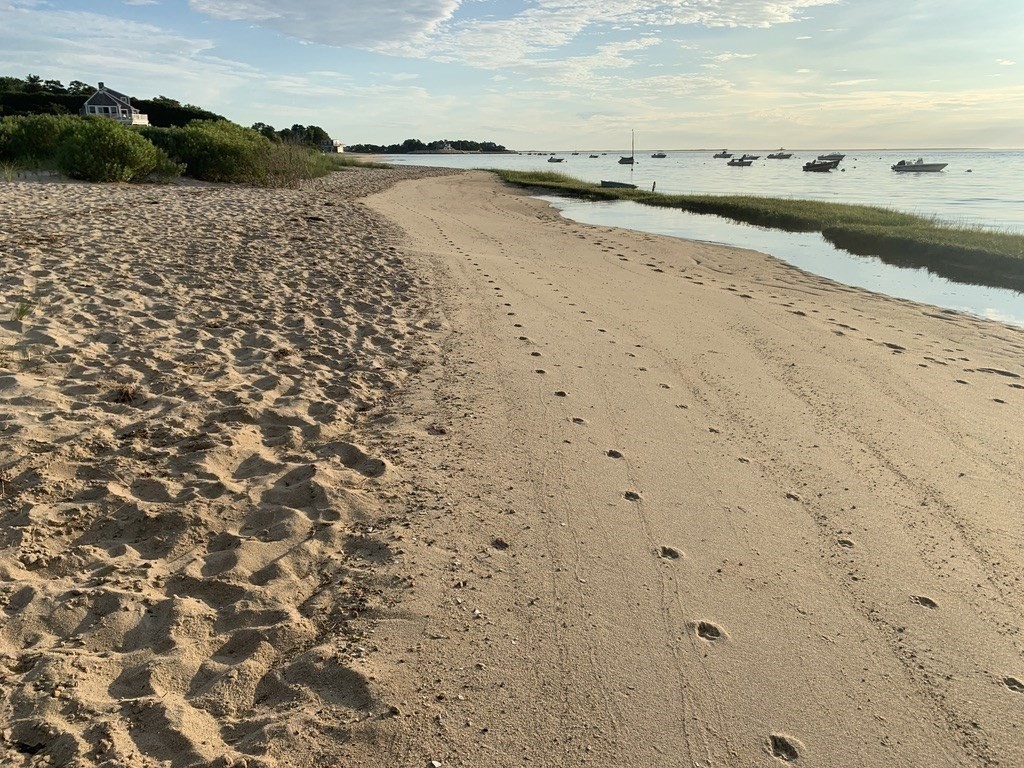 504 Old Harbor Road Chatham, MA 02633 - Photo 39 of 42 a view of an ocean beach