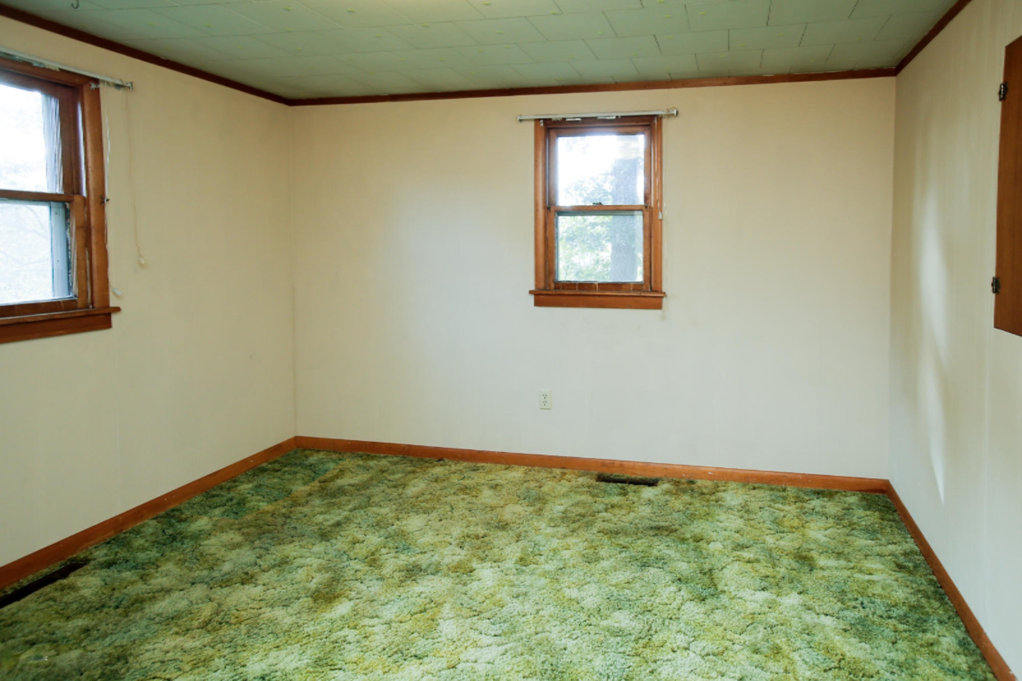 548 Hickory Road Battle Creek, MI 49017 - Photo 3 of 6 548 west hickory road-111