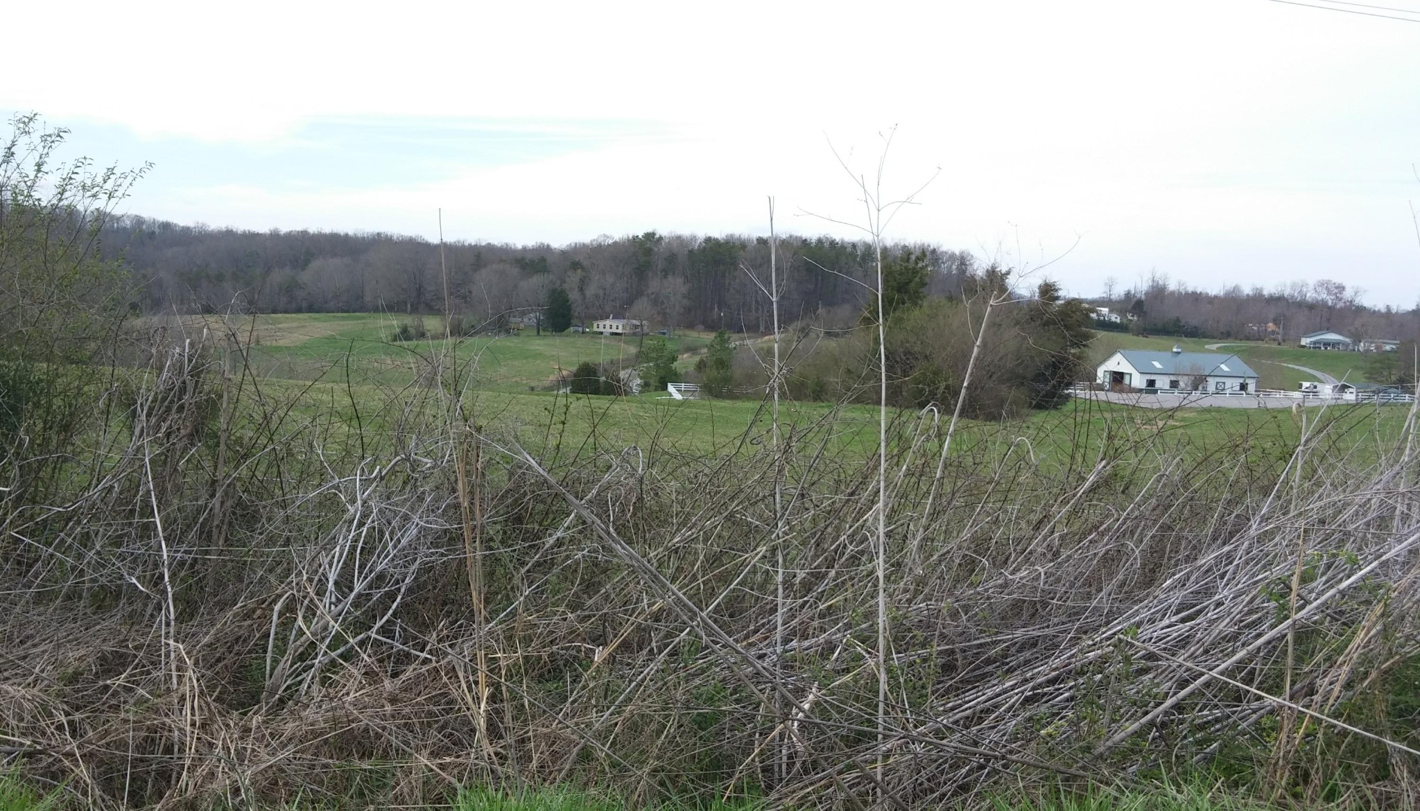 0 Chestua Road Madisonville, TN 37354 - Photo 6 of 17 Gallery Image 6