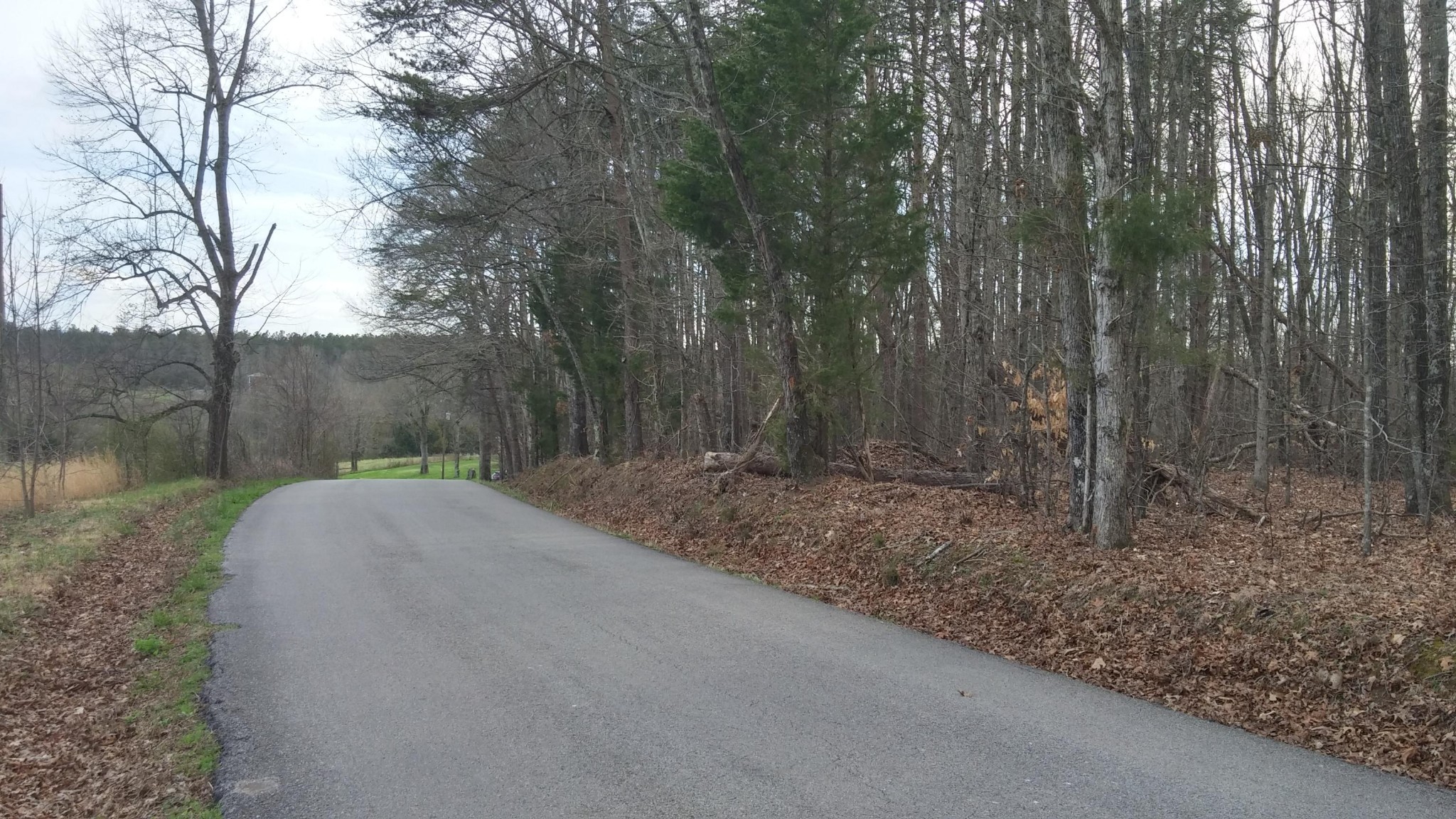 0 Chestua Road Madisonville, TN 37354 - Photo 10 of 17 Gallery Image 10