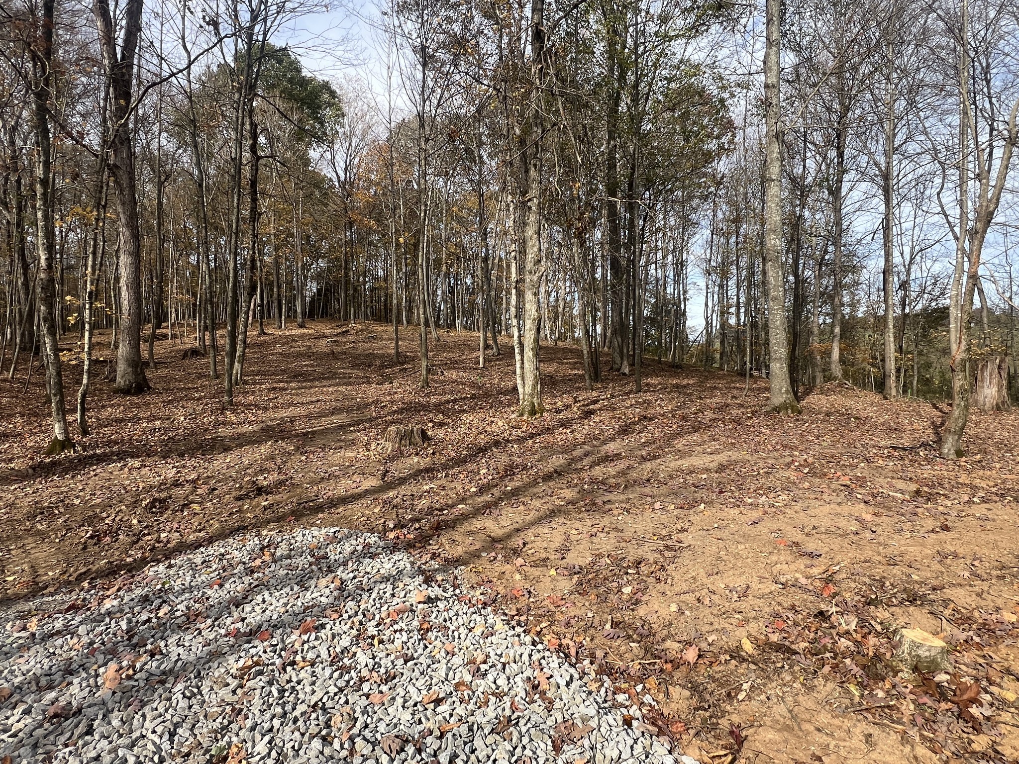 1552 Old Gallatin Road Portland, TN 37148 - Photo 1 of 4 a backyard of a house with lots of green space
