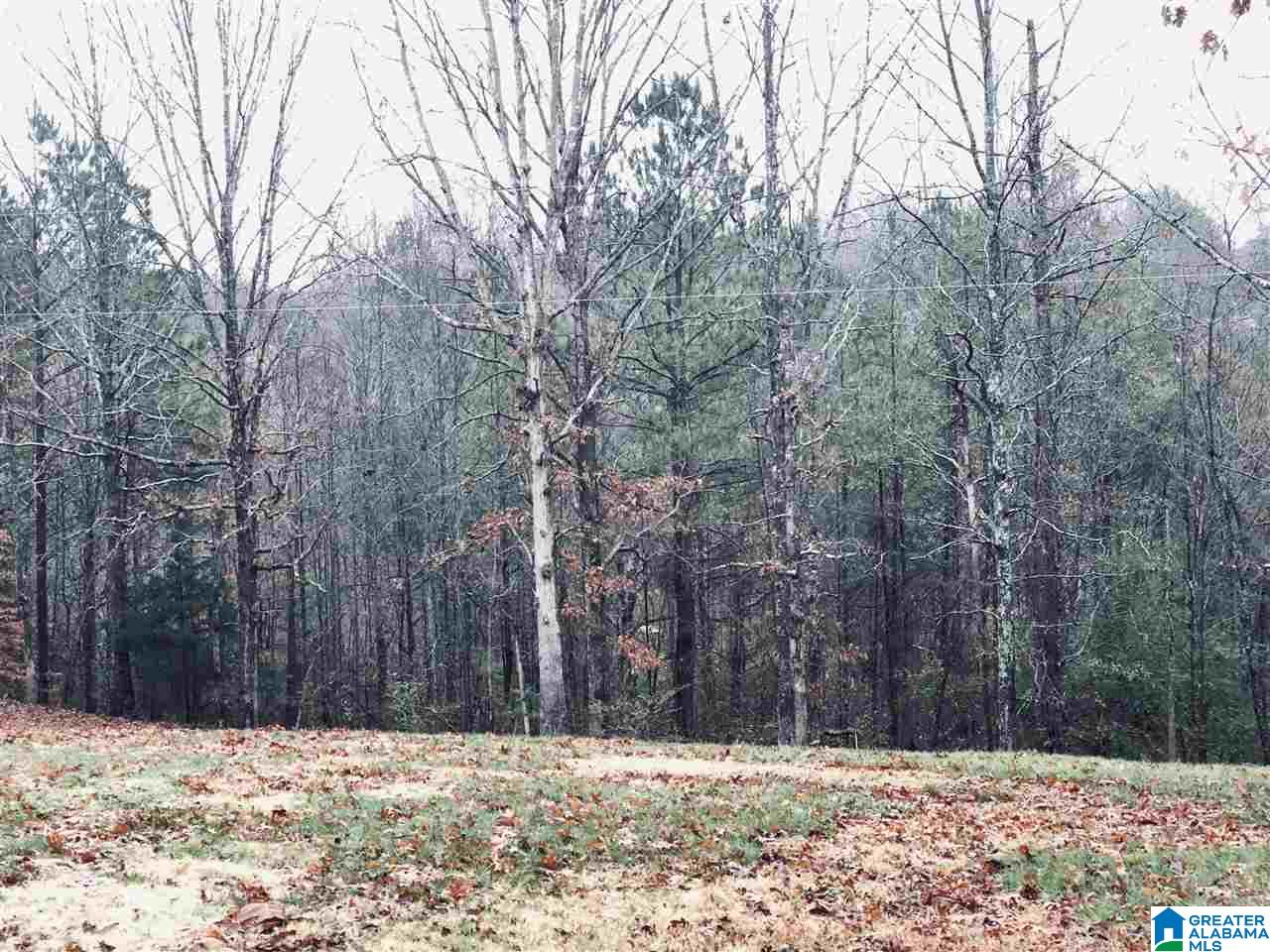 30899 Highway 431 Heflin, AL 36264 - Photo 32 of 42