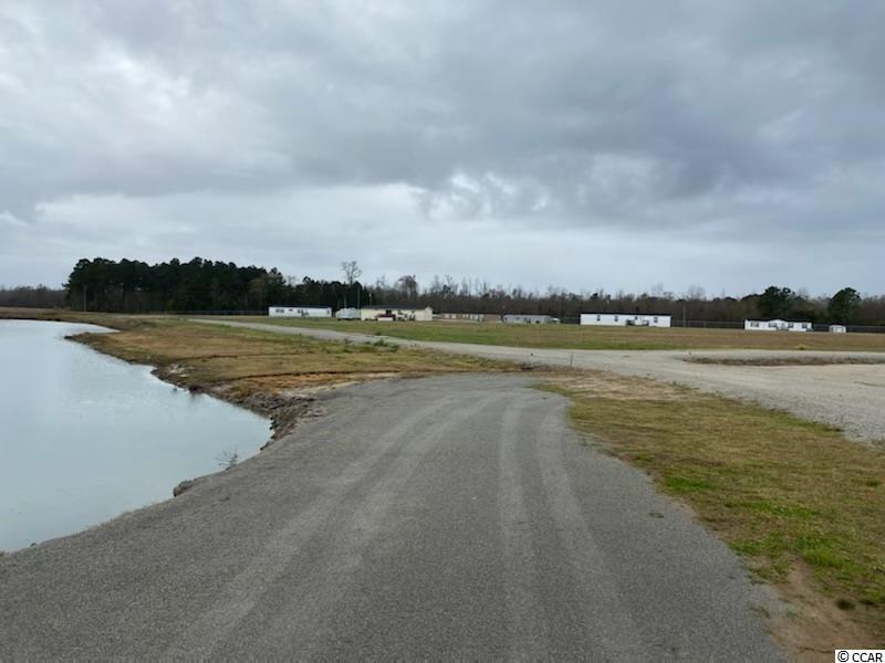 Tbd Pioneer Road Conway, SC 29526 - Photo 3 of 7 Gallery Image 3
