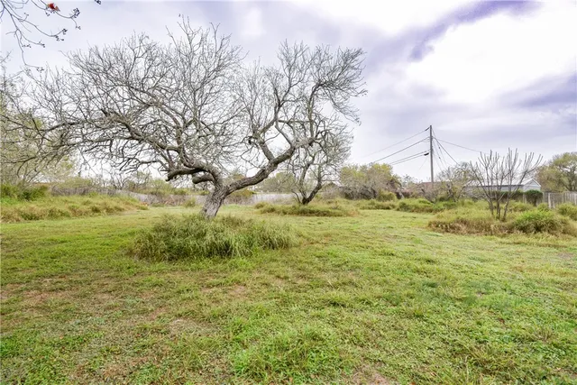 a view of a field with an trees