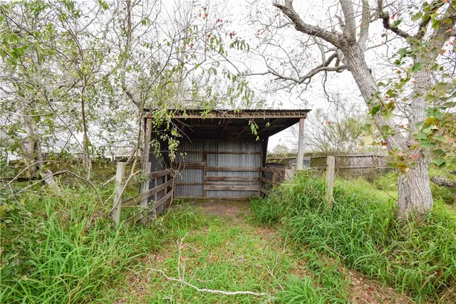 a view of a pathway of a house with a tree