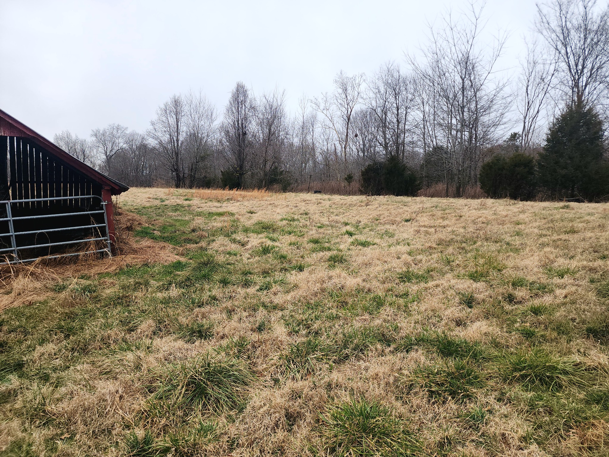 0 Houston Fielder Road Clarksville, TN 37043 - Photo 2 of 5 a view of a yard