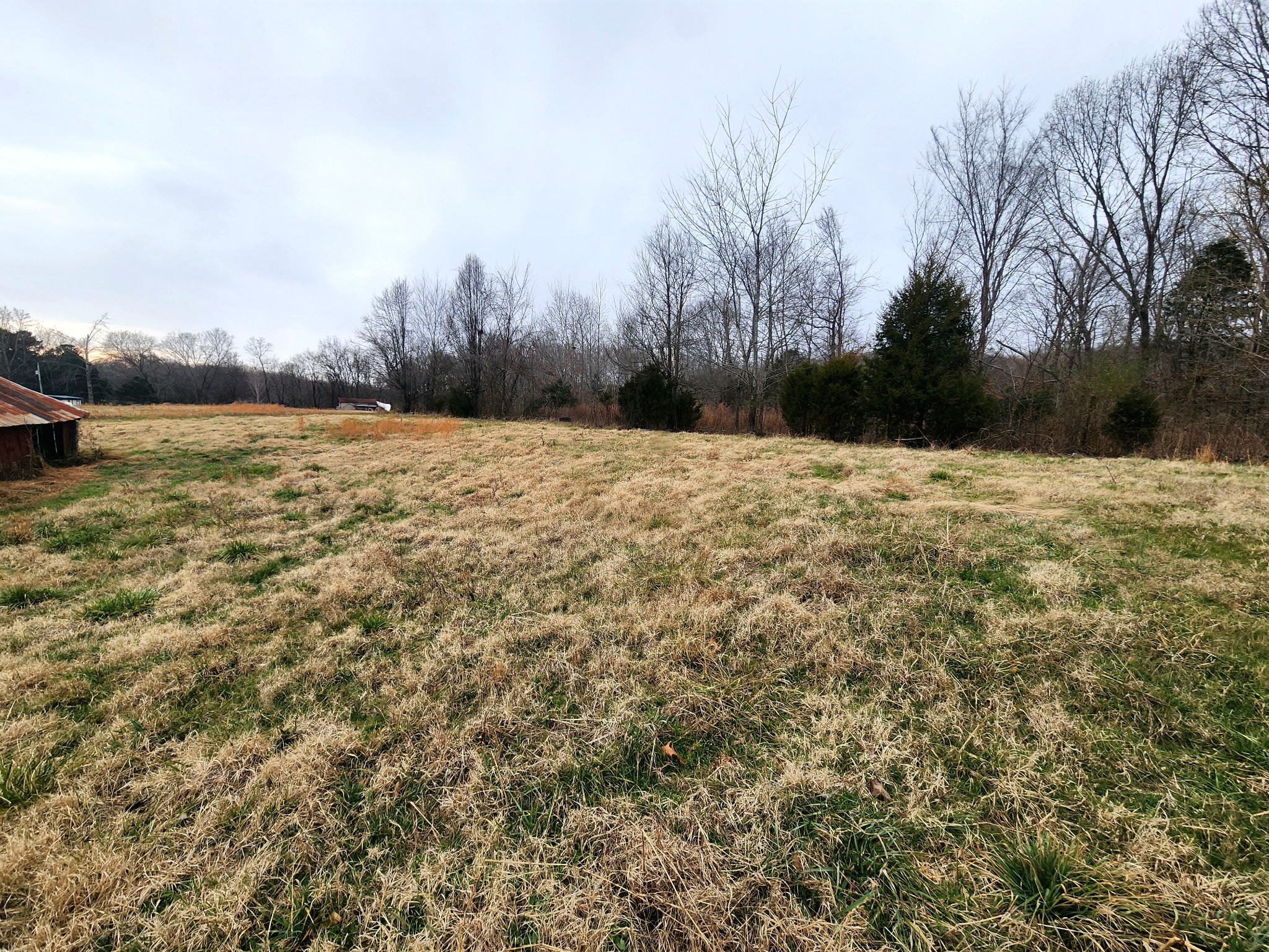 0 Houston Fielder Road Clarksville, TN 37043 - Photo 4 of 5 a large tree with wooden fence