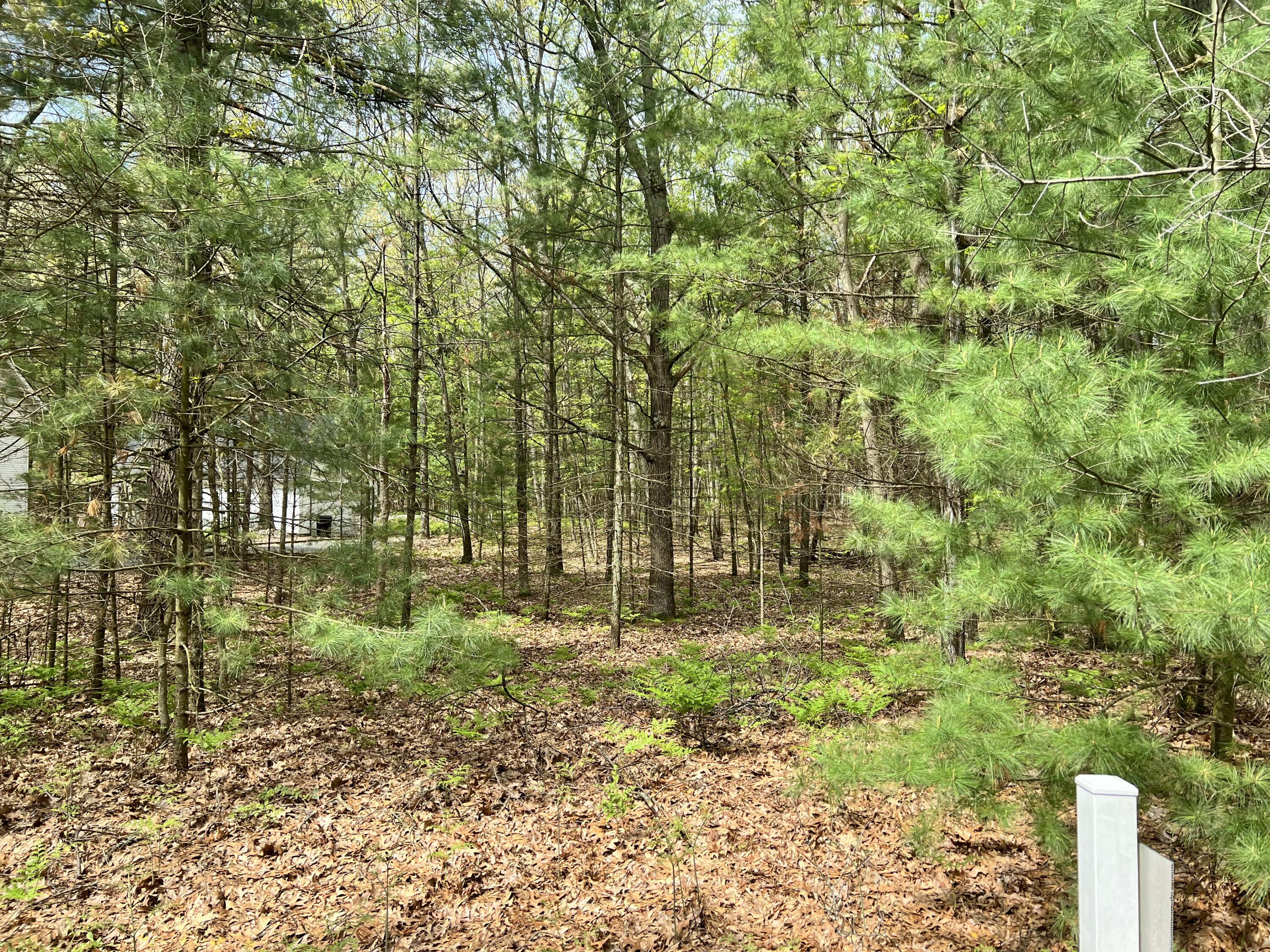 Lot 95 Iroquois Road Pentwater, MI 49449 - Photo 5 of 11 IMG_8265