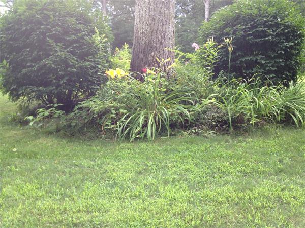 222 Charnock Hill Road Rutland, MA 01543 - Photo 19 of 24 a backyard of a house with lots of green space
