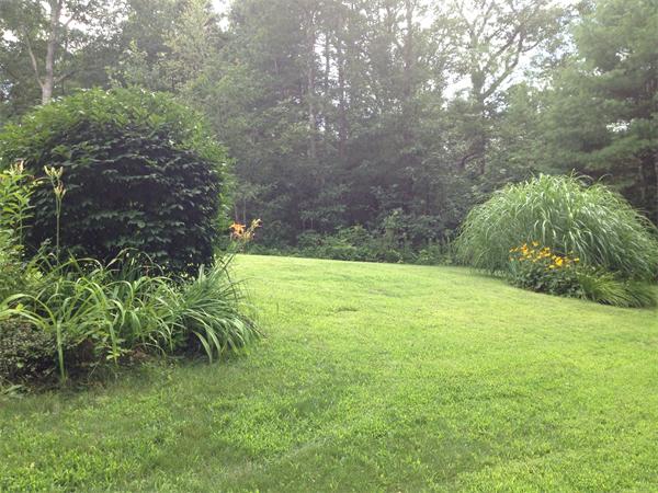222 Charnock Hill Road Rutland, MA 01543 - Photo 21 of 24 a view of yard with green space