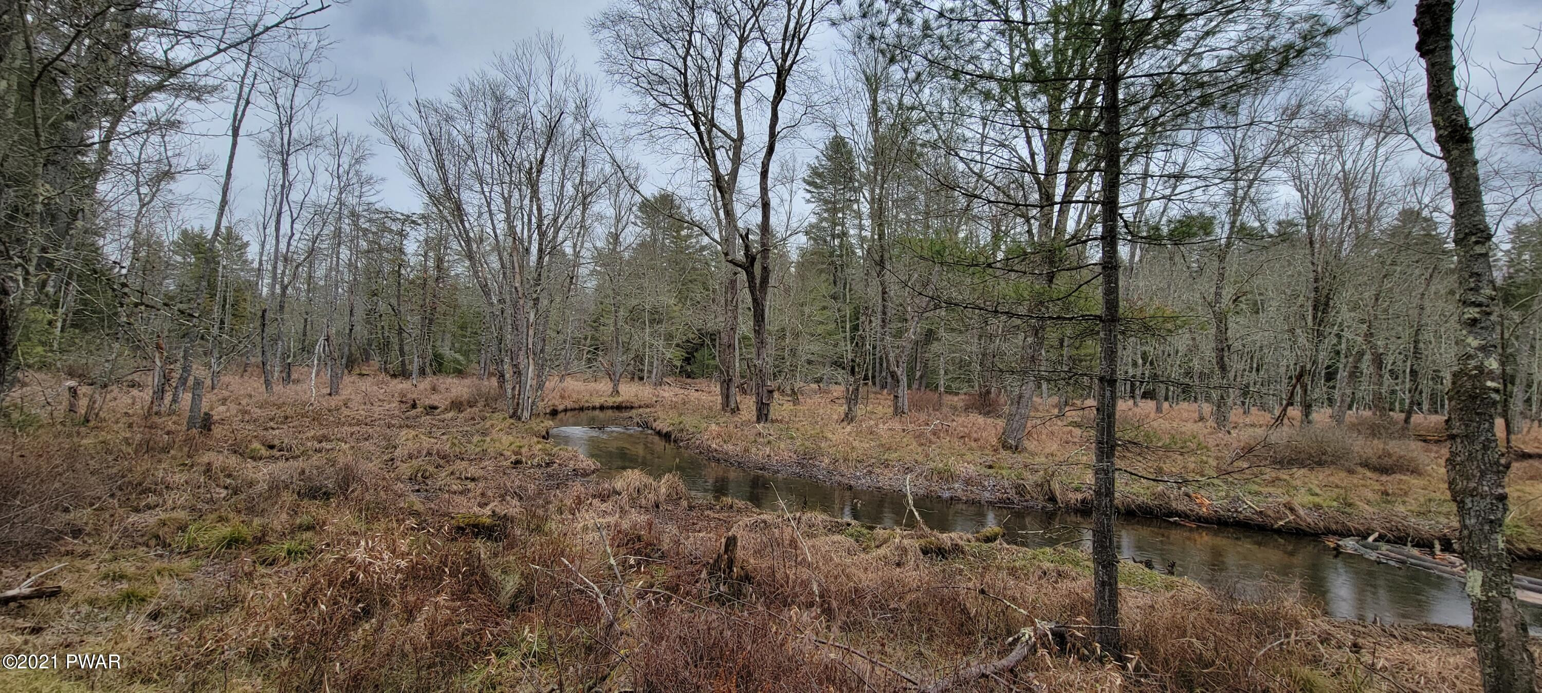 Lot 43 Swamp Pond Road Narrowsburg, NY 12764 - Photo 6 of 13