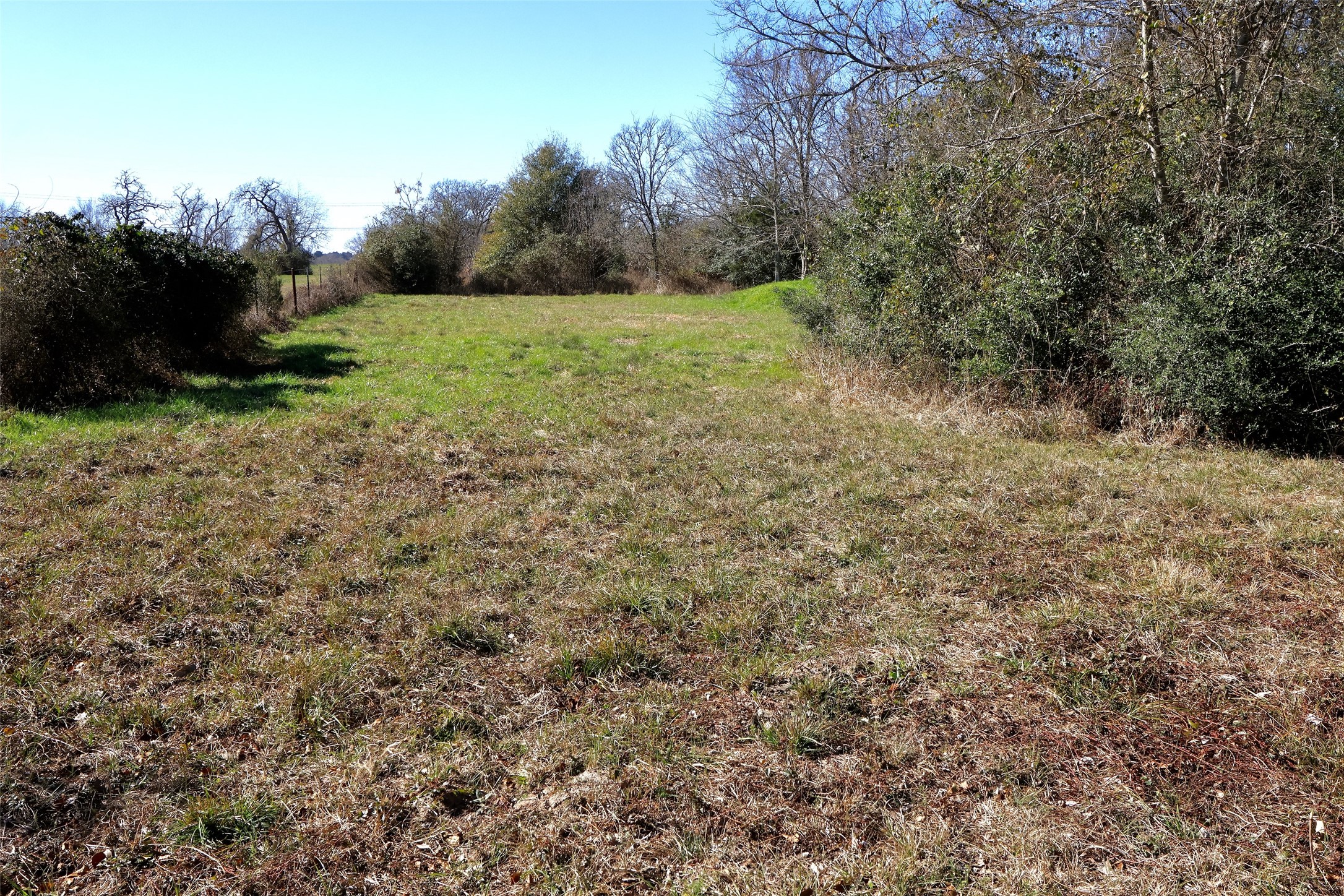 5.002-acres Winding Meadow Road Bedias, TX 77831 - Photo 18 of 31 a view of outdoor space and yard