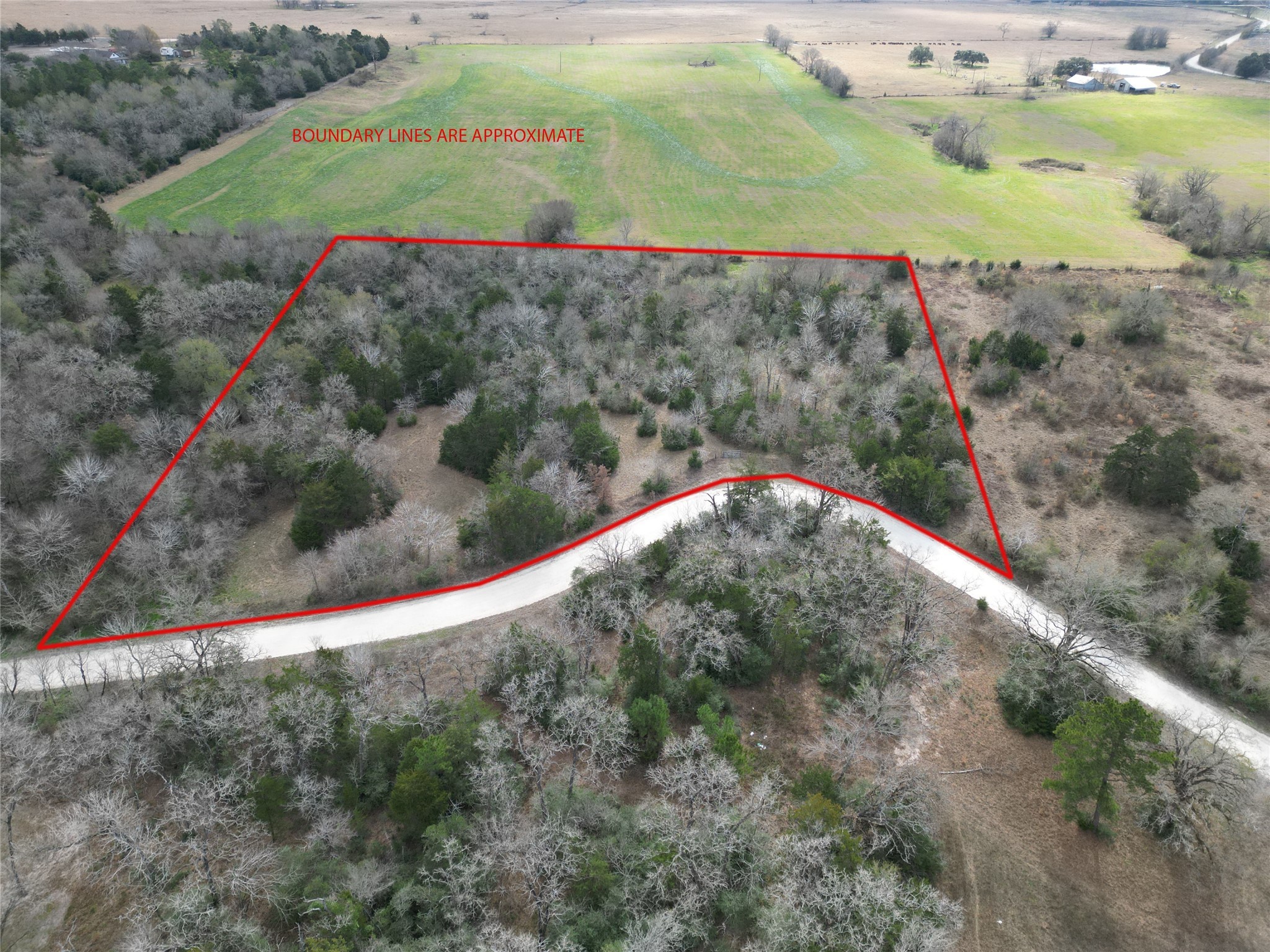 5.002-acres Winding Meadow Road Bedias, TX 77831 - Photo 2 of 31 a view of a small yard