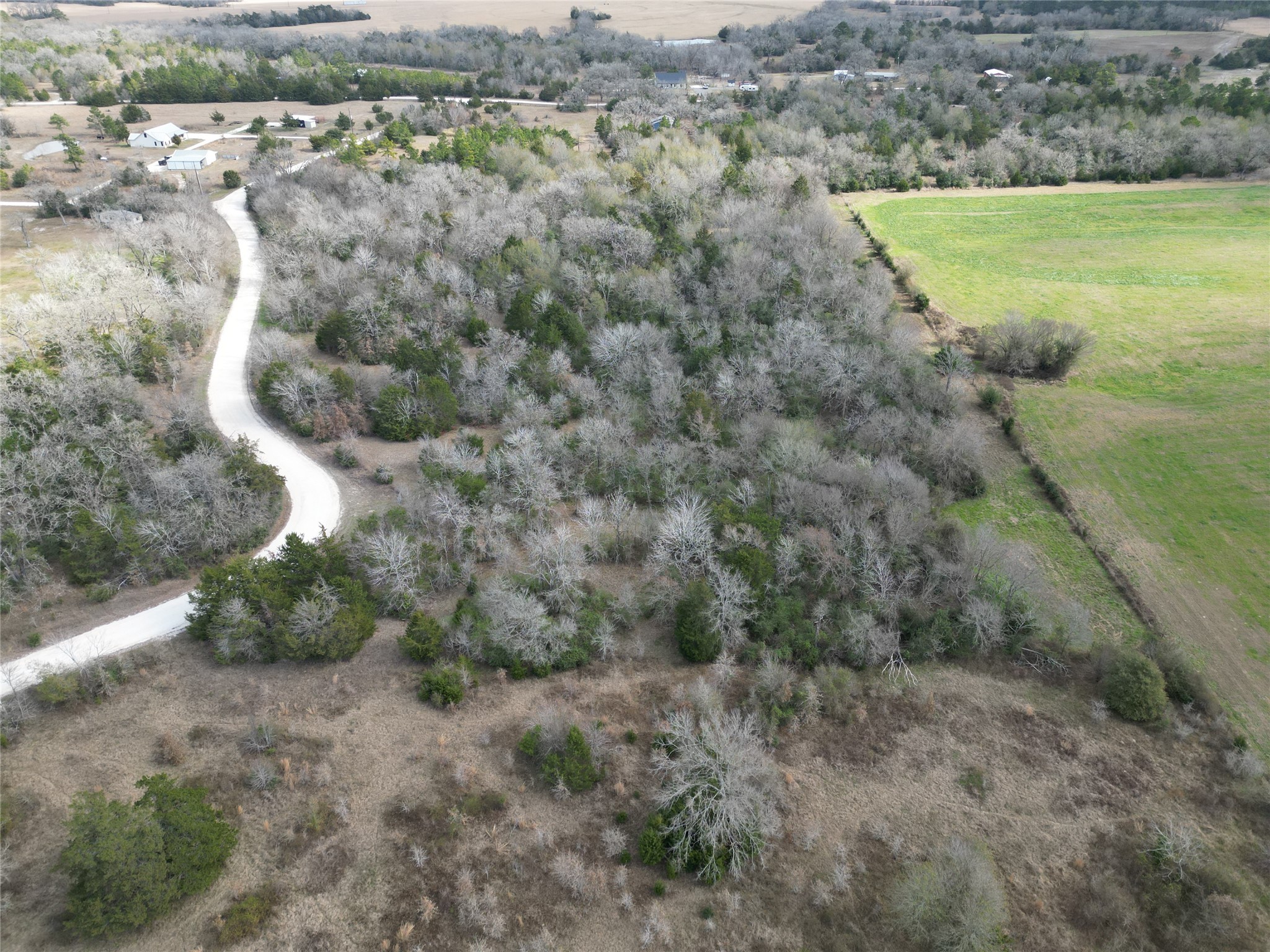 5.002-acres Winding Meadow Road Bedias, TX 77831 - Photo 21 of 31 an aerial view of a houses with outdoor space and trees all around