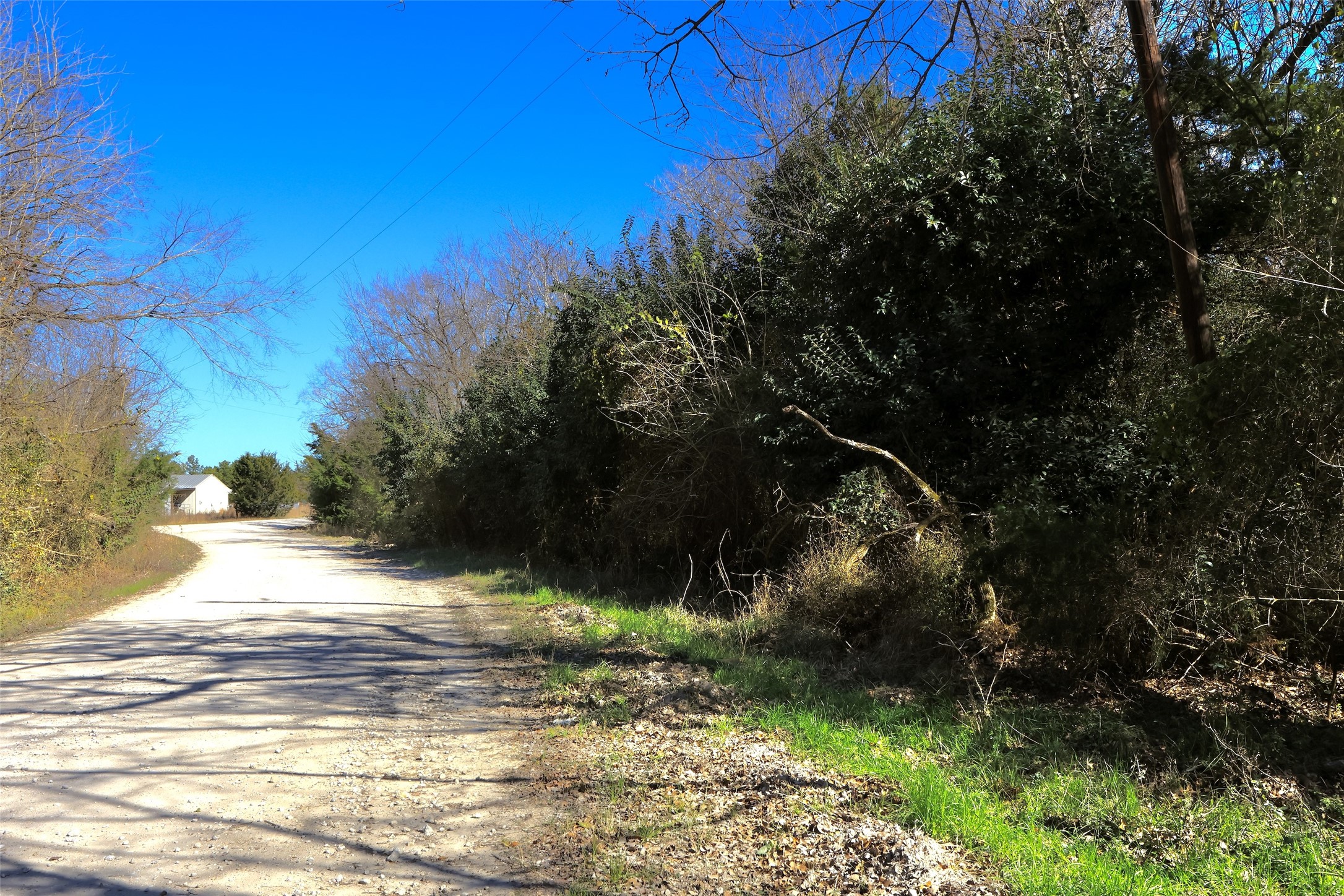 5.002-acres Winding Meadow Road Bedias, TX 77831 - Photo 3 of 31 a view of a yard with a tree
