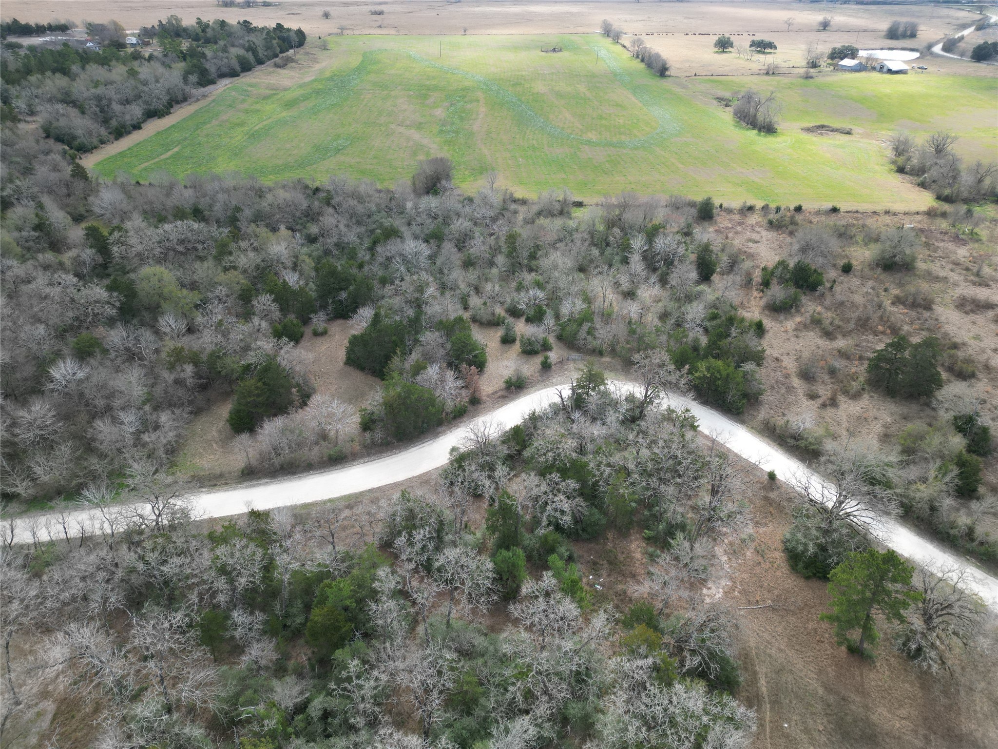 5.002-acres Winding Meadow Road Bedias, TX 77831 - Photo 31 of 31 a view of a small yard with green space