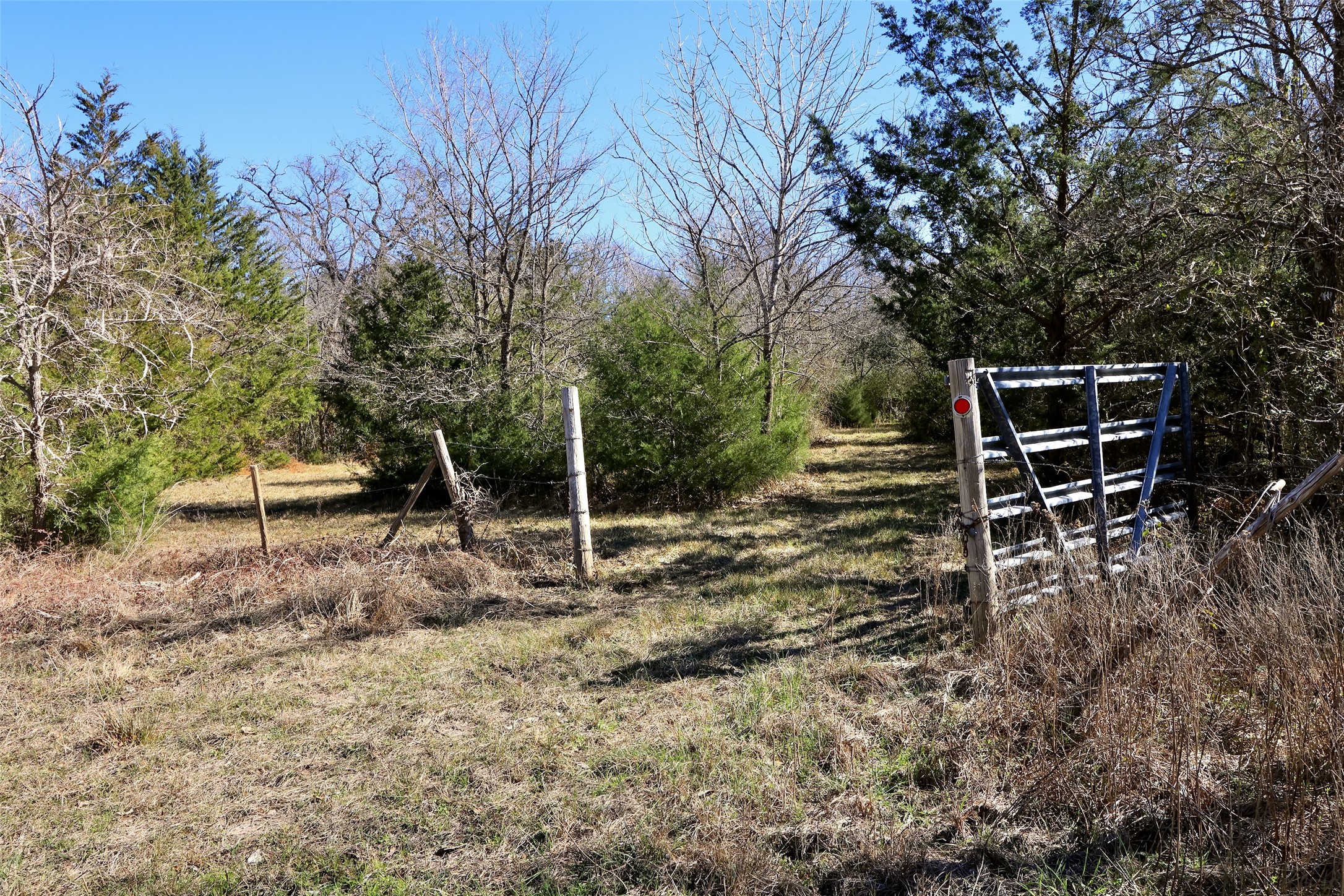 5.002-acres Winding Meadow Road Bedias, TX 77831 - Photo 4 of 31 a backyard of a house with lots of green space