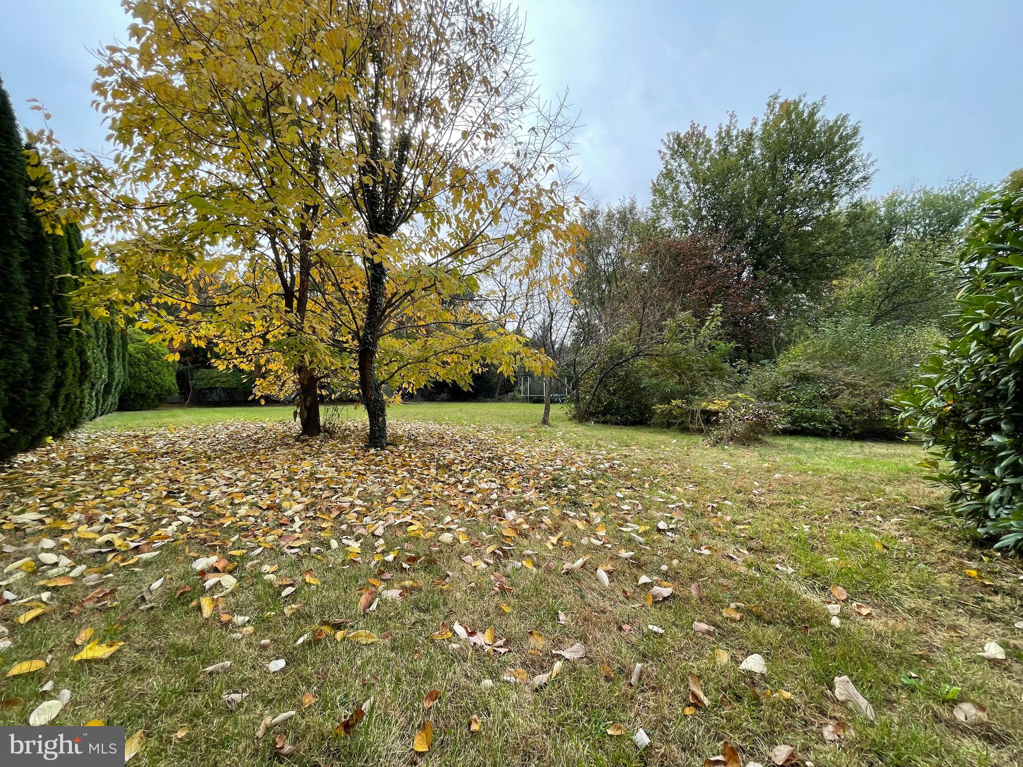 1769 Farmview Road Ambler, PA 19002 - Photo 6 of 21 Gallery Image 6