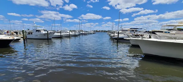 a view of a lake with boats and palm trees