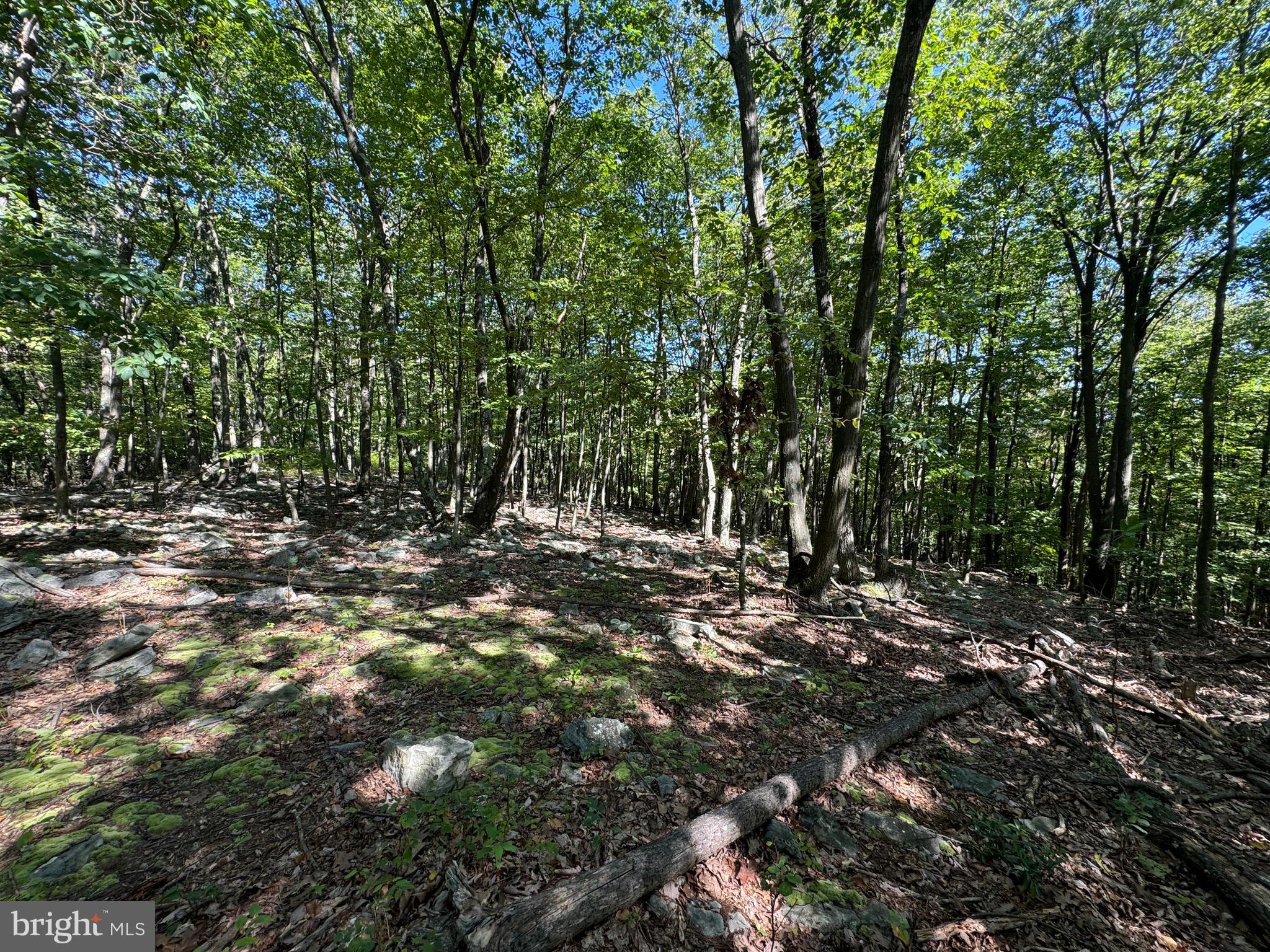 Three Laurel Mountain Road Three Springs, PA 17264 - Photo 27 of 31 Gallery Image 27