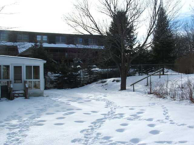 10 State Street Biddeford, ME 04005 - Photo 8 of 24 Yard/Garden.