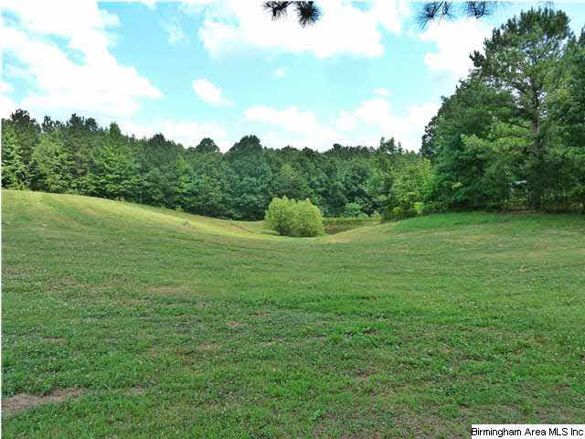 1010 Mooney Road Columbiana, AL 35051 - Photo 8 of 24