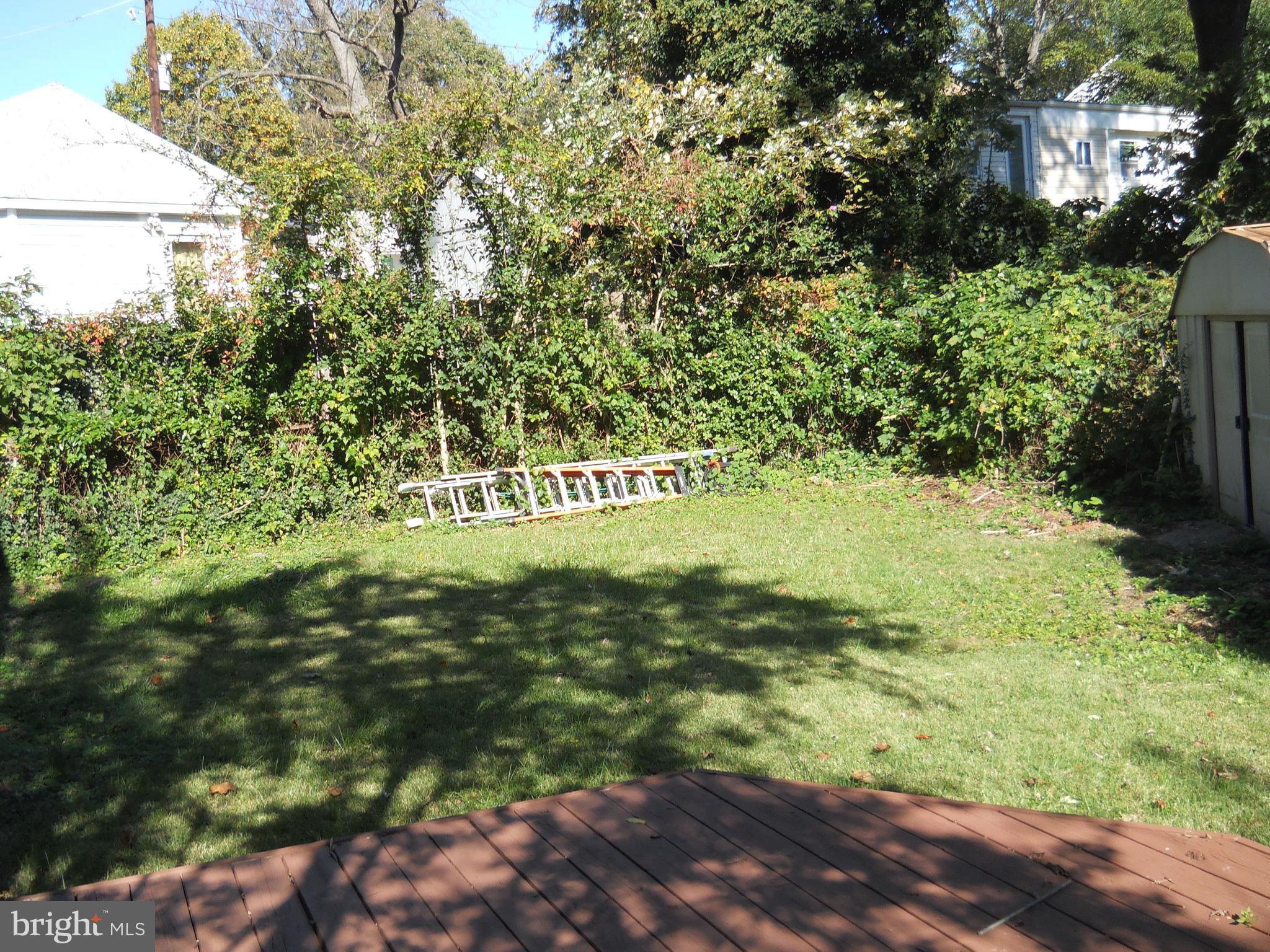 12403 Denley Road Silver Spring, MD 20906 - Photo 22 of 23 a view of a yard with plants